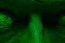 The Strange Colour of Your Bodys Tears 04