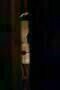 The Strangers
