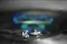 The Substane: Albert Hofmann's LSD - Trailer