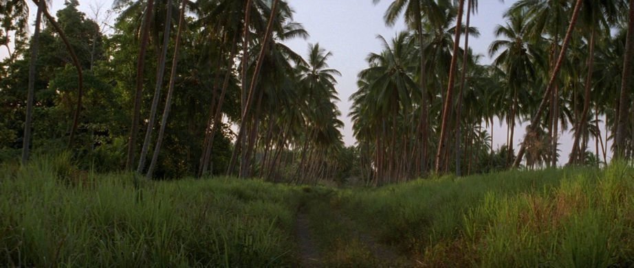 The Thin Red Line 09