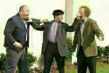 The Three Stooges