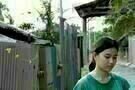The Tiger Factory 03