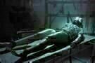 The Torturer