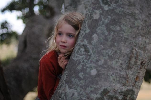 The Tree 03 The Tree 03