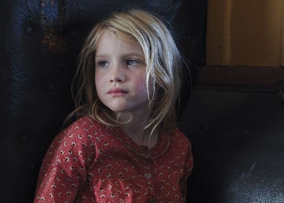 The Tree 05 The Tree 05