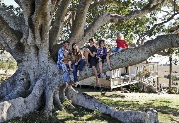 The Tree 06 The Tree 06