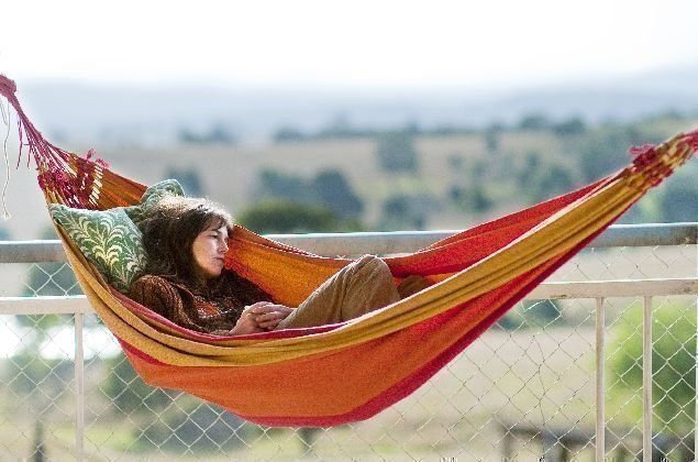 The Tree 11 The Tree 11