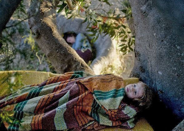 The Tree 12 The Tree 12