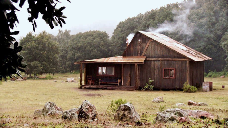 The Untamed 10 The Untamed 10