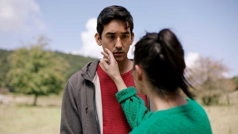 The Untamed 8 The Untamed 8