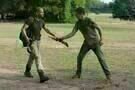 The Walking Dead 12