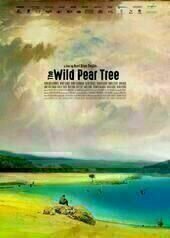 Der wilde Birnbaum