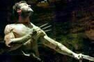 The Wolverine