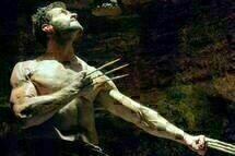 The Wolverine