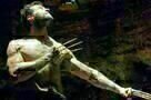 The Wolverine