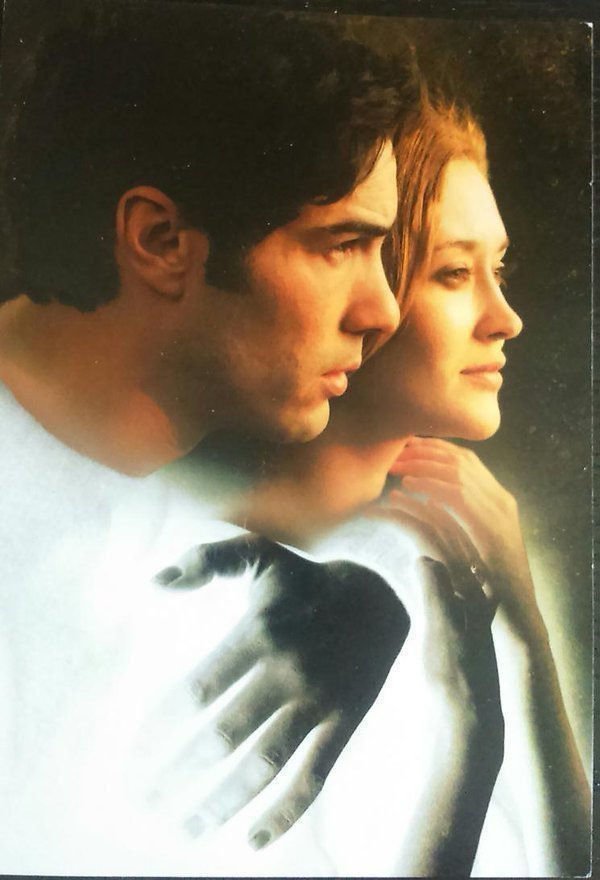The Woman in the Silver Plate - Poster