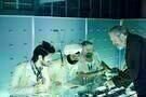 The Zero Theorem 05