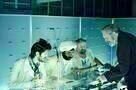 The Zero Theorem 05