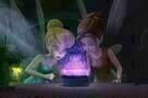 Tinkerbell und die Piratenfee