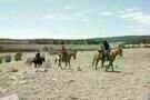 True Grit 03
