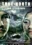 True North
