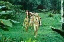 Turistas