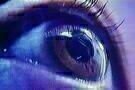 Turtle Vision  4