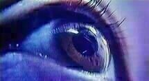 Turtle Vision 4 Turtle Vision 4