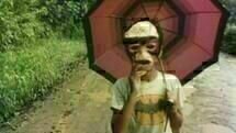 Turumba Turumba