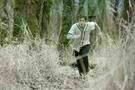 Twilight - Biss zum Morgengrauen