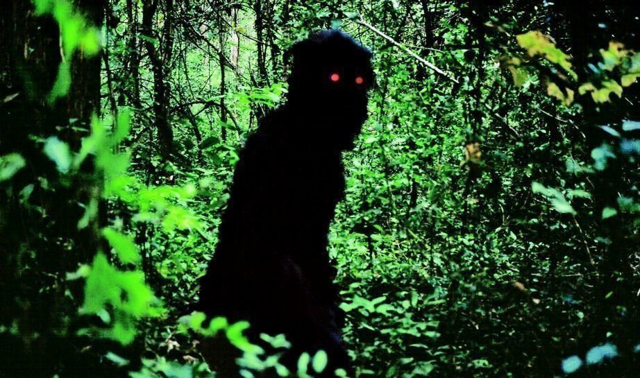 Uncle Boonmee erinnert sich an seine fru  heren Leben