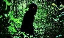 Uncle Boonmee erinnert sich an seine fru  heren Leben