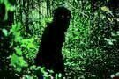 Uncle Boonmee erinnert sich an seine fru  heren Leben