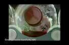 Unter Menschen - Trailer