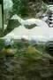 Unter Schnee  1
