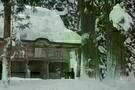 Unter Schnee  5