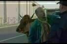 Unterwegs mit Jacqueline - Trailer