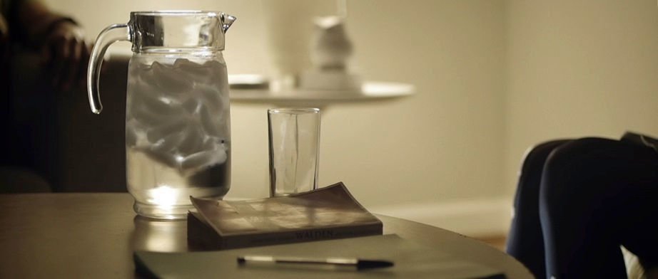Upstream Color 03