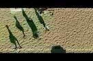 Wir - Trailer