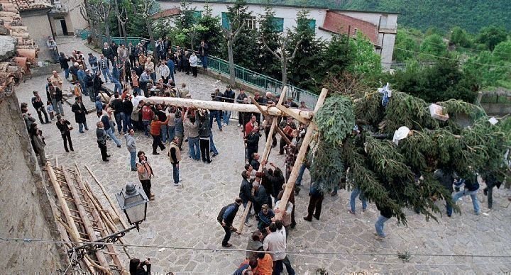Vier Leben 09
