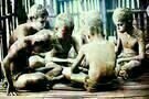 Vinyan