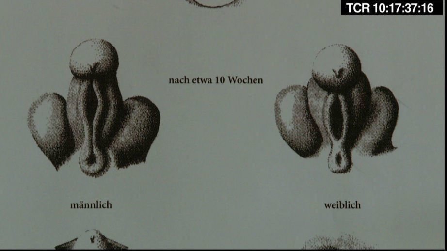 Vulva 3.0 01