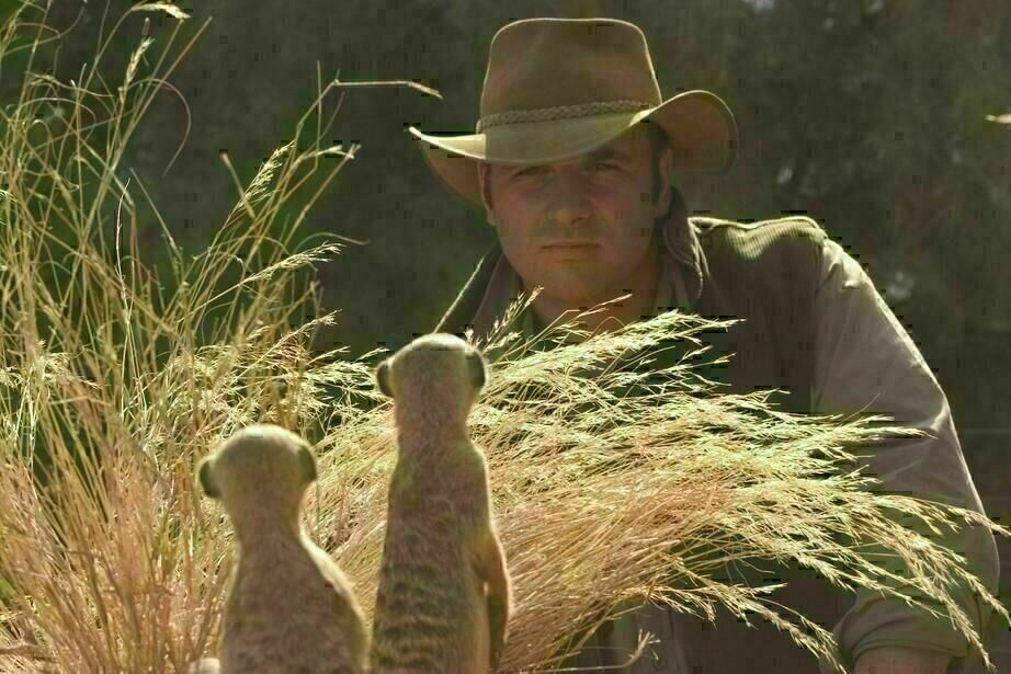 Wächter der Wüste