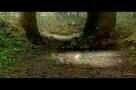Dinosaurier 3D - Im Reich der Giganten - Trailer