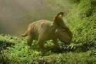 Walking with Dinosaurs
