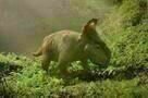 Walking with Dinosaurs