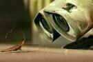 Wall-E - Der letzte räumt die Erde auf