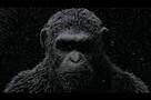 War for the Planet of the Apes - Teaser