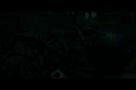 Planet der Affen 3: Survival - Trailer