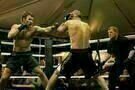 Warrior 6